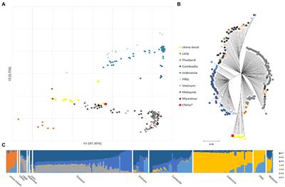 Retrospective analysis of Plasmodium vivax genomes from a pre-elimination China inland population in the 2010s